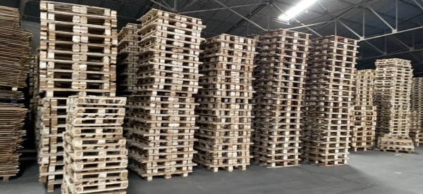 Pallet gỗ