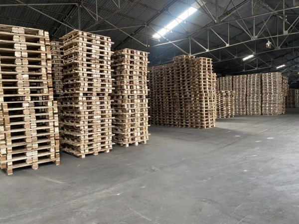 Pallet gỗ