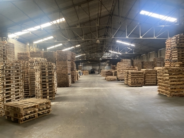 Pallet gỗ
