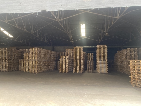 Pallet gỗ