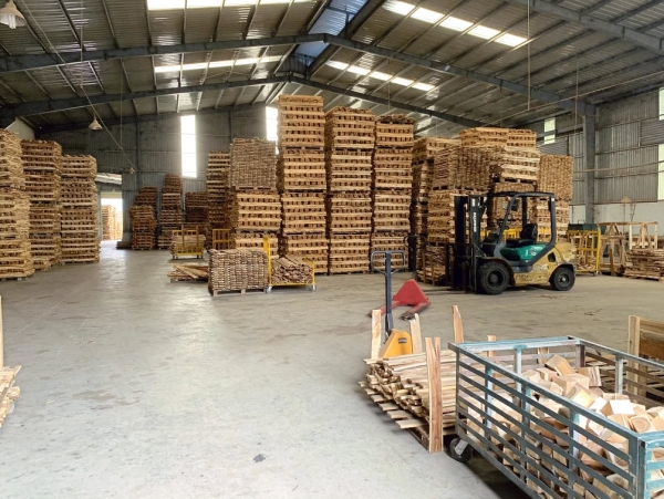 Pallet gỗ
