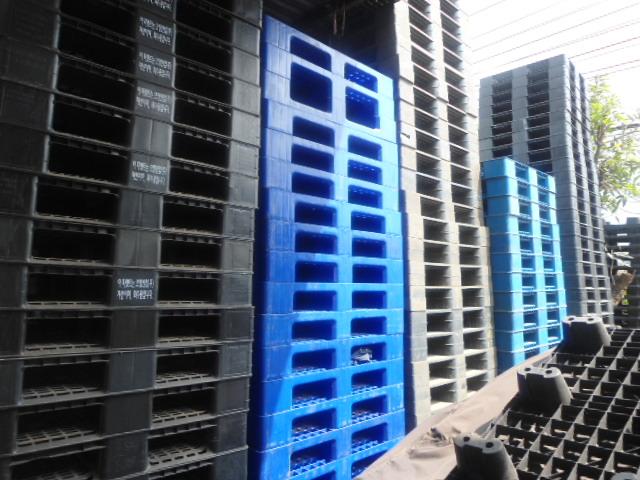 Pallet nhựa