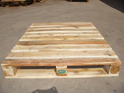 Pallet 100x120x15.6 cm