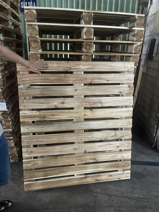 Pallet gỗ keo