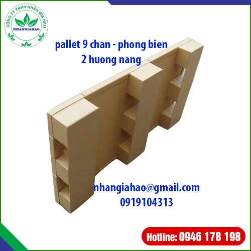 Pallet 9 chân 2 hướng nâng