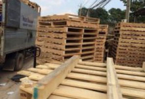 Pallet gỗ