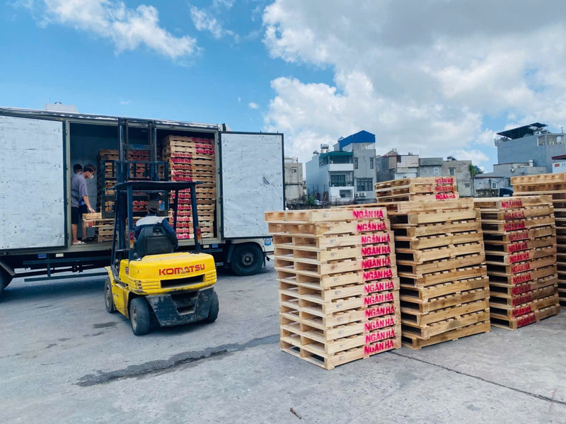 Pallet gỗ 2 hướng nâng