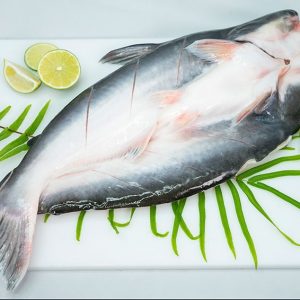 Cá basa đông lạnh