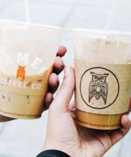 Dây đai nhựa PET