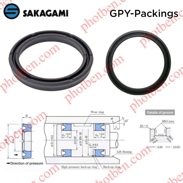 PhớtPiston GPY