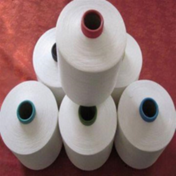 Sợi Polyester DTY