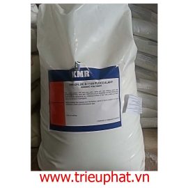 Polyme Anion