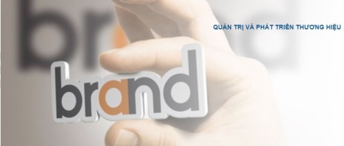 Quản trị và phát triển thương hiệu
