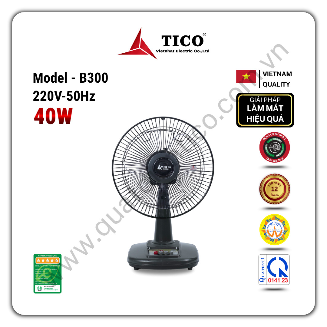 Quạt bàn B300