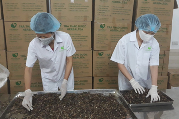 Giấy kraft nguyên liệu