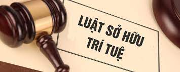 Quyền sở hữu trí tuệ