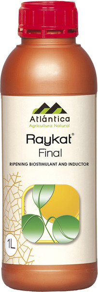 Raykat Final 1L