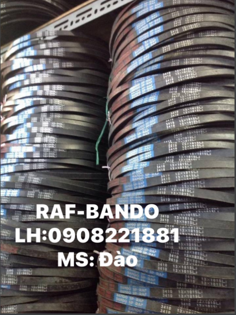 Dây RFP
