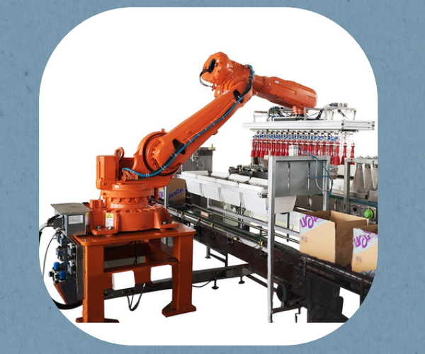 Robot 6 trục có khả năng tùy biến đa năng