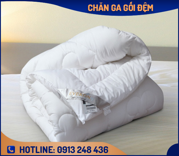 Ruột chăn