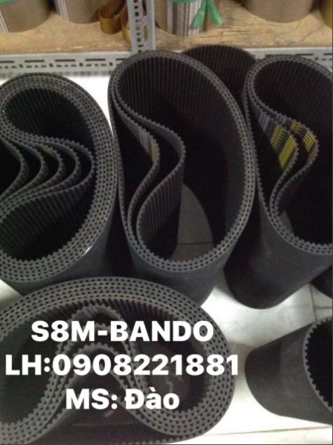 Dây SM8 Bando