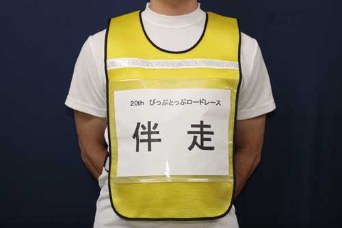 SAFETY VEST