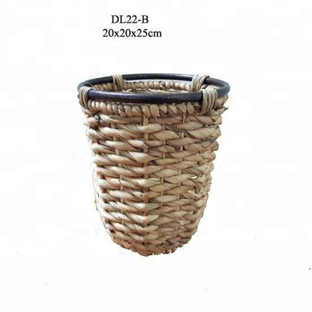 Chậu cây lục bình