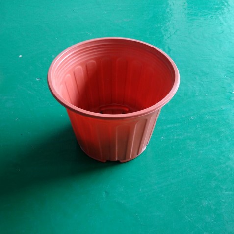 Chậu nhựa