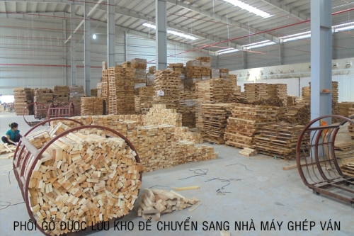 Phôi gỗ cao su