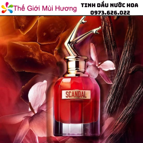 资质或荣誉图片