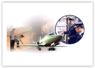 Dịch vụ hải quan