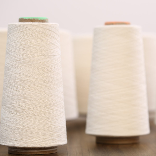 Sợi cotton