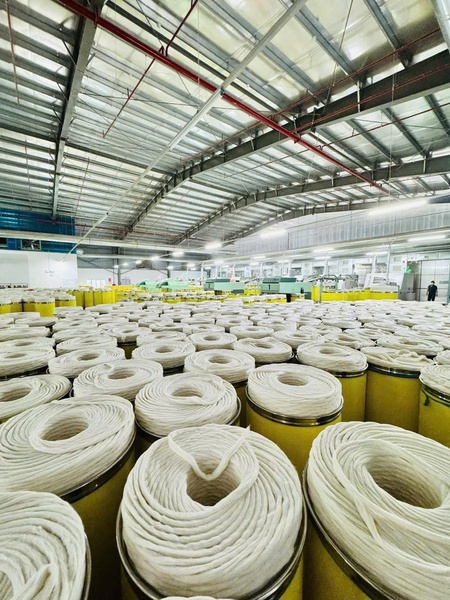 Sợi cotton