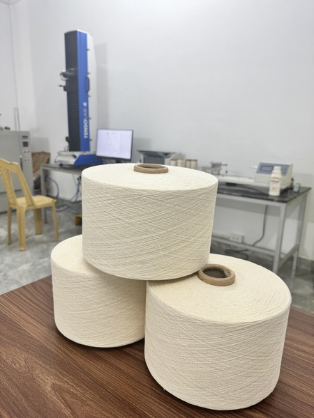 Sợi cotton