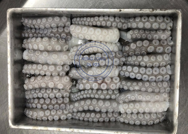 Mực ống cắt đông lạnh nguyên khối