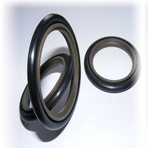 Step Seal