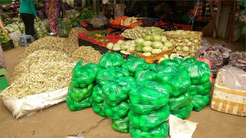 Su su, củ kiệu