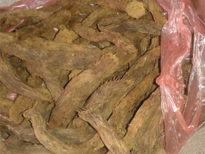Thiên niên kiện