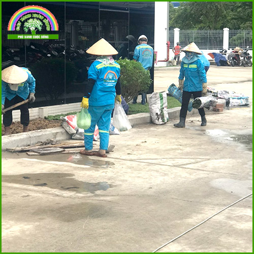 Thi công trồng cây công trình