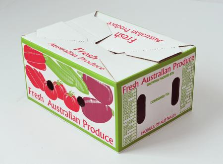 Bao bì giấy carton