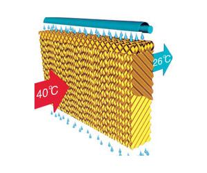 Tấm làm mát nhà xưởng Cooling Pad