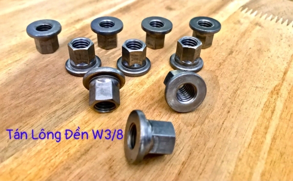 Tán long đền w38