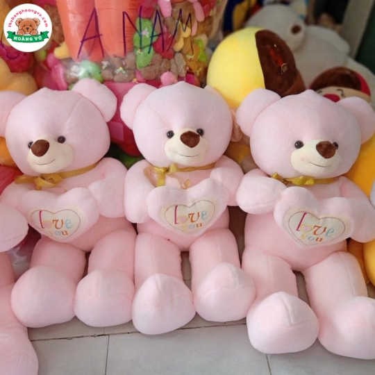 Teddy ôm tim