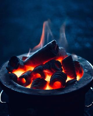 Than mùn cưa