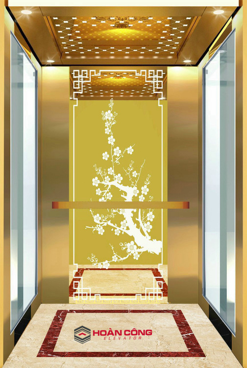 Thang máy tải khách