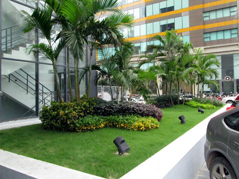 Thi công tiểu cảnh tòa nhà FPT