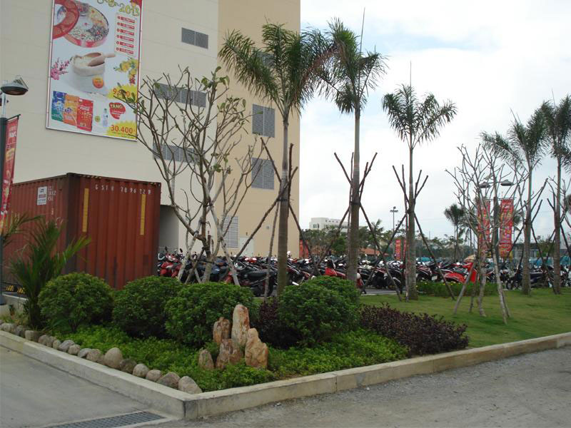 Thi công tiểu cảnh tòa nhà Lotte