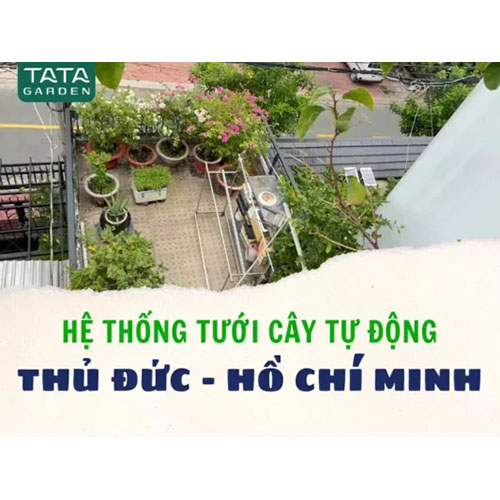 Thi công hệ thống tưới cây Thủ Đức