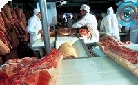 Băng tải thực phẩm