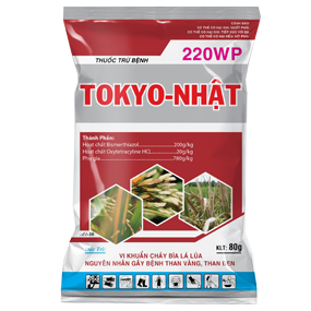 资质或荣誉图片